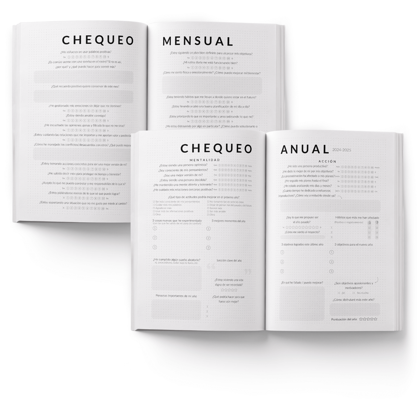 Agenda Seiko Análisis Mensual y Anual